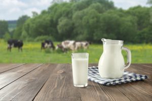What makes Paras Dairy a prominent dairy brand?