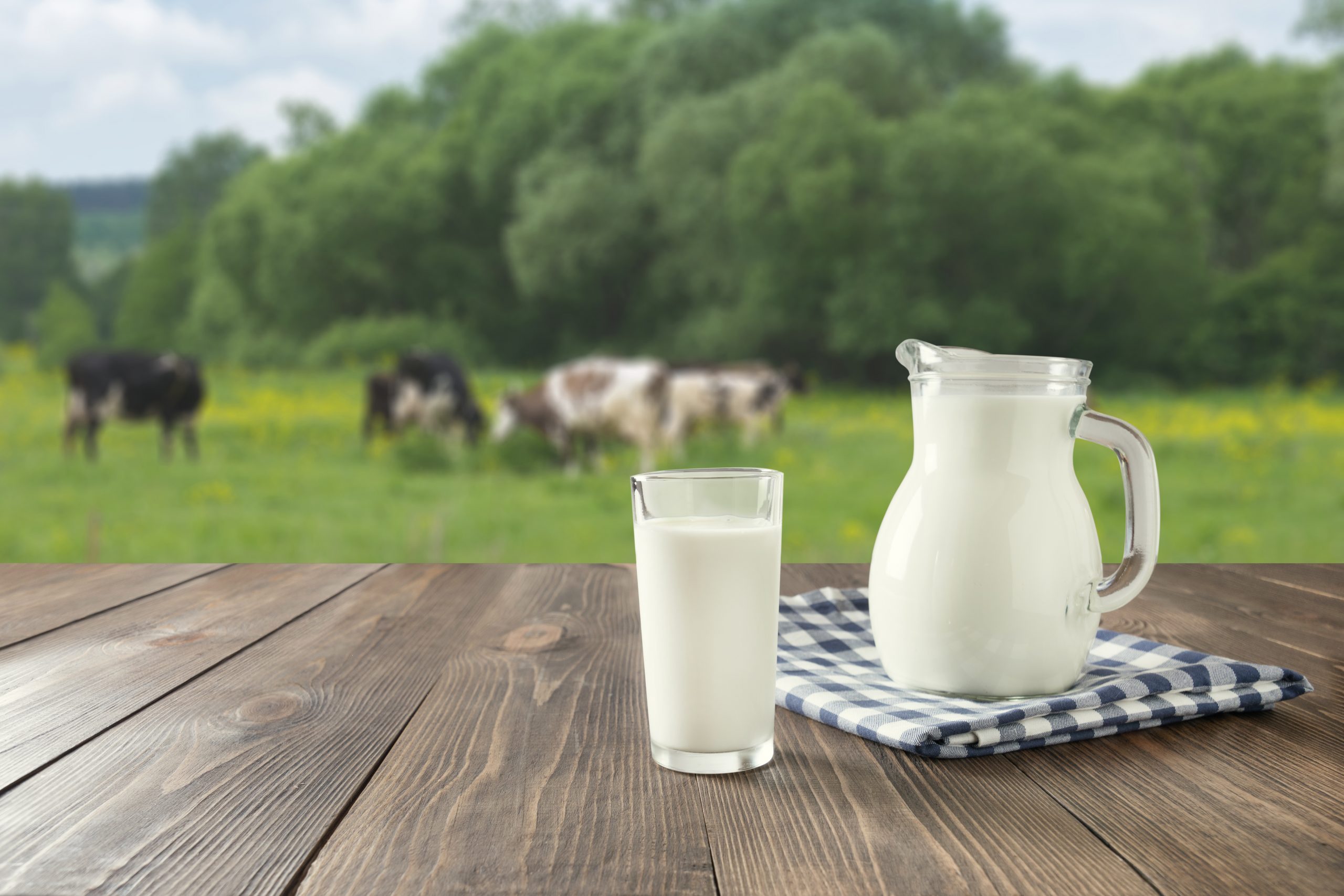 What makes Paras Dairy a prominent dairy brand?