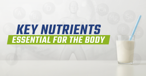 Key Nutrients Essential For the Body