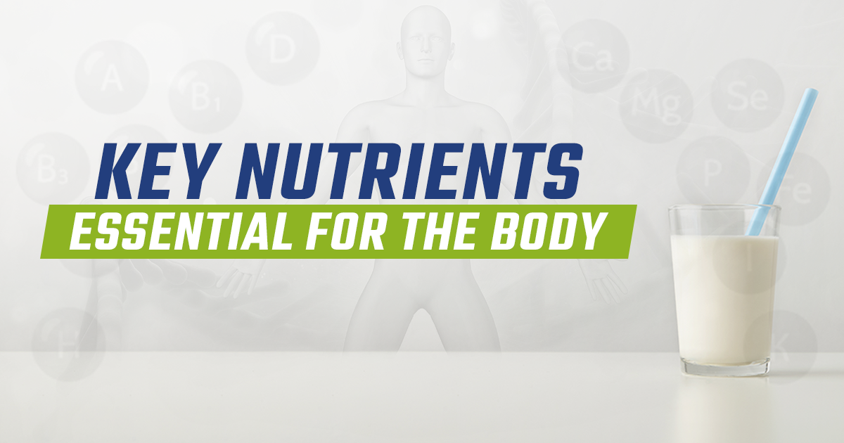 Key Nutrients Essential For the Body