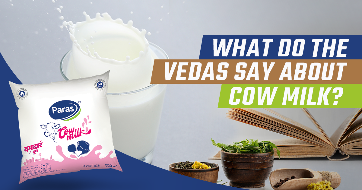 What do the Vedas say about Cow Milk?