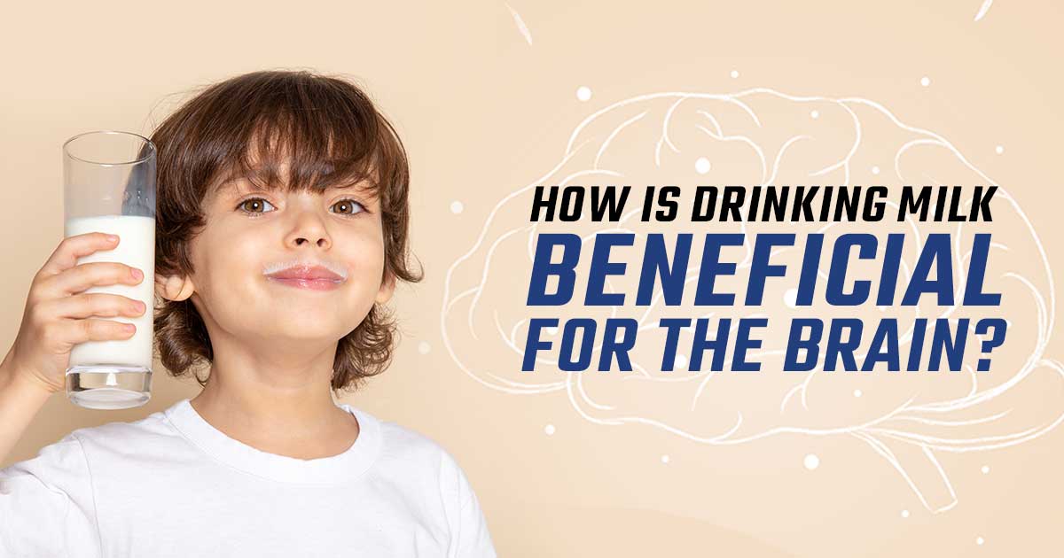 How is Drinking Milk beneficial for the Brain?