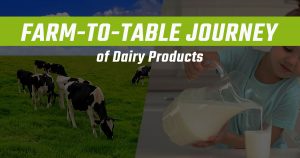 The Farm-to-Table Journey of Dairy Products 