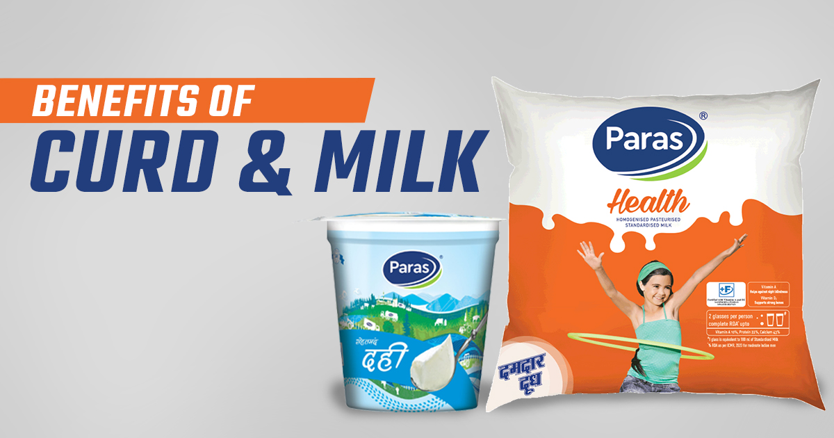Curd and Milk’s Contribution to Fluid Balance