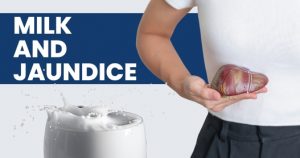 Milk and Jaundice: Debunking Myths and Clarifying Facts