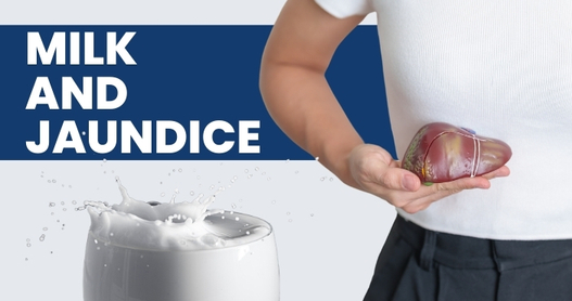 Milk and Jaundice: Debunking Myths and Clarifying Facts